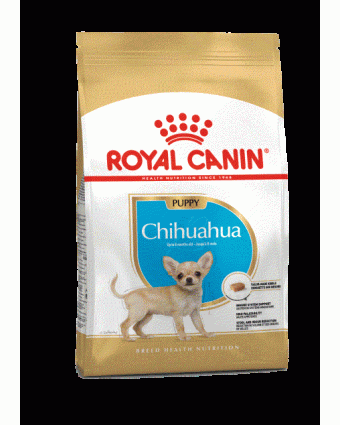 Сухой корм для щенков породы Чихуахуа Royal Canin (Роял Канин) CHIHUAHUA JUNIOR, 500 г