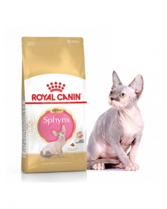 Royal Canin Kitten Sphynx корм д/котят 400 гр