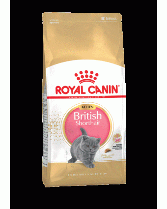 Сухой корм для котят породы Британская Короткошёрстная Royal Canin (Роял Канин) Kitten ФБН 2 кг