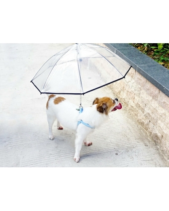 Зонт Namsan для прогулок с собакой складной с черной разборной ручкой