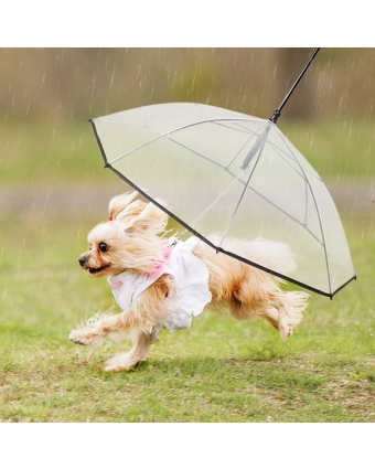 Зонт Namsan для прогулок с собакой складной с черной разборной ручкой