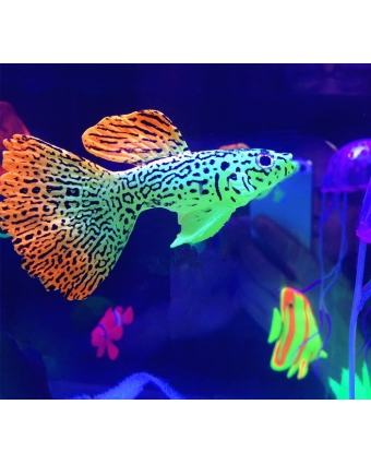 Ch Декор светящаяся рыбка гуппи арт.666050