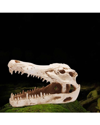 аквариумный декор череп крокодила  тяжелая не крашенная поламерная смола