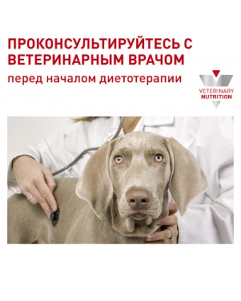 Royal Canin Neutered Adult д/с 100гр